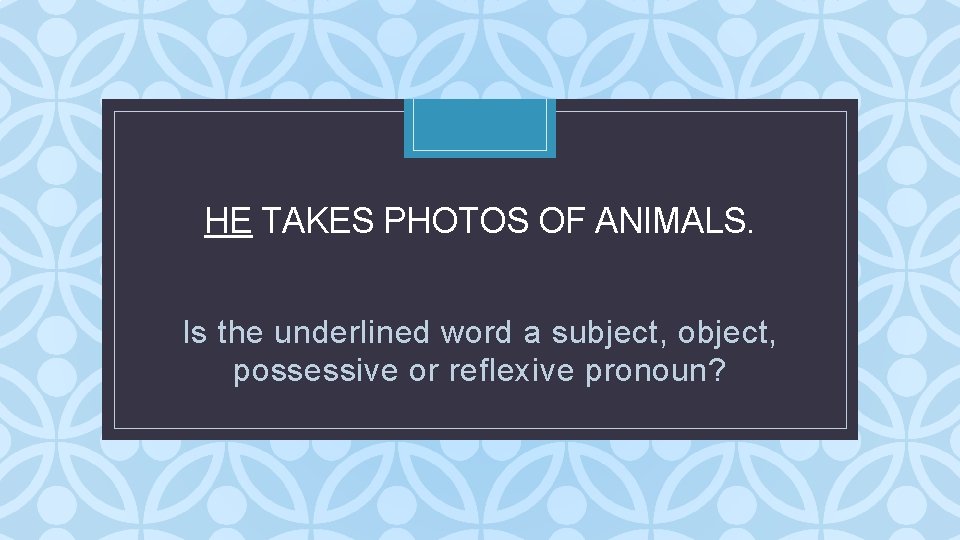 HE TAKES PHOTOS OF ANIMALS. C Is the underlined word a subject, object, possessive HE TAKES PHOTOS OF ANIMALS. C Is the underlined word a subject, object, possessive