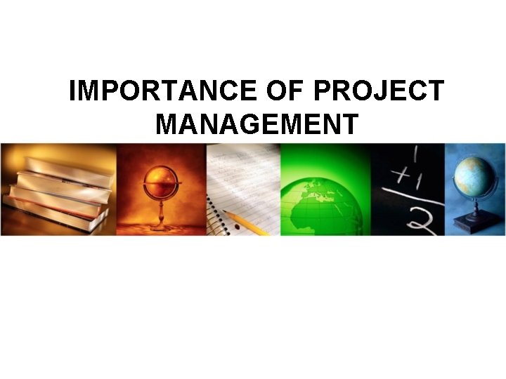 IMPORTANCE OF PROJECT MANAGEMENT IMPORTANCE OF PROJECT MANAGEMENT