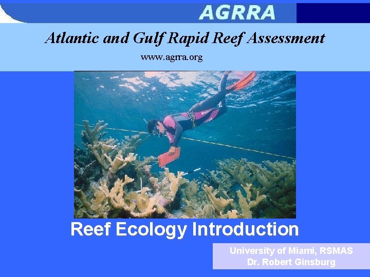 Atlantic and Gulf Rapid Reef Assessment www. agrra. org Reef Ecology Introduction University of