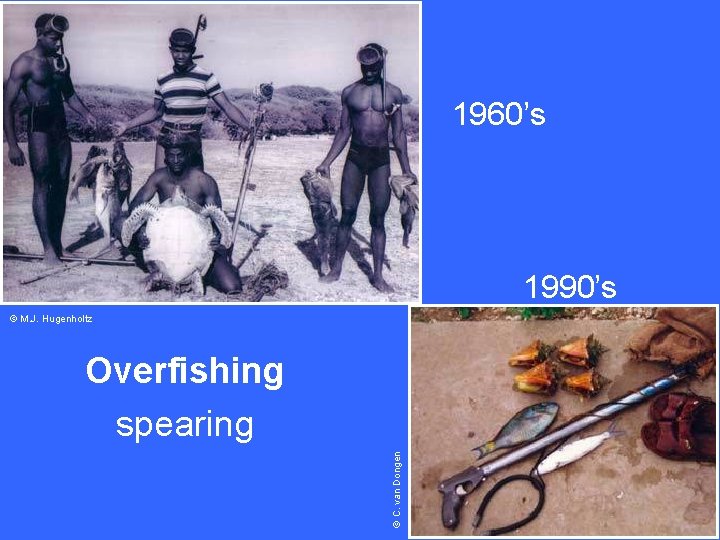 1960’s 1990’s © M. J. Hugenholtz © C. van Dongen Overfishing spearing 