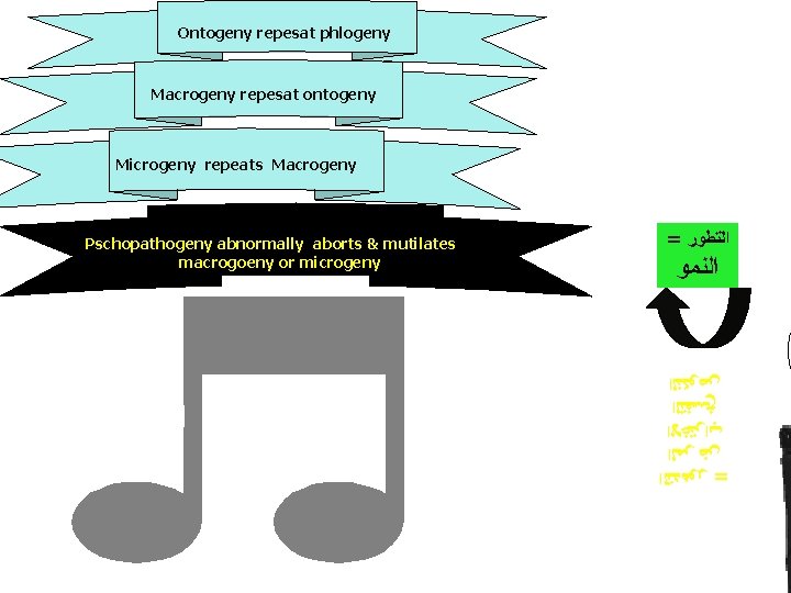 Ontogeny repesat phlogeny Macrogeny repesat ontogeny Microgeny repeats Macrogeny = ﺍﻟﺘﻄﻮﺭ ﺍﻟﻨﻤﻮ = ﺍﻟﺘﺪﻫﻮﺭ