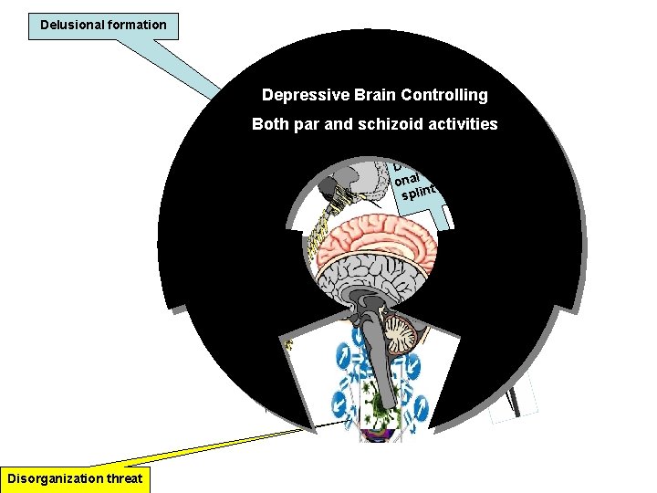 Delusional formation Depressive Brain Controlling Depressive Brain Both par and schizoid activities si Delu