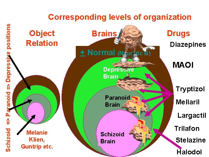 Schizoid => Paranoid => Depressive positions Corresponding levels of organization Object Relation Brains +