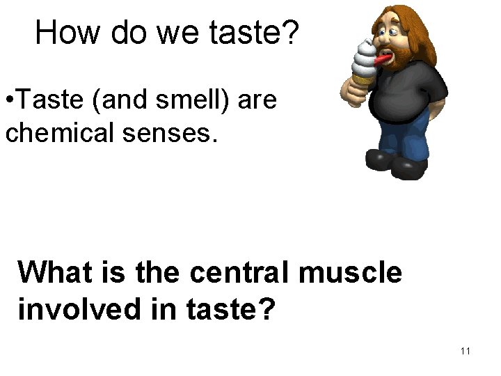 How do we taste? • Taste (and smell) are chemical senses. What is the