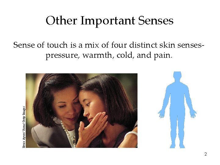 Other Important Senses Bruce Ayers/ Stone/ Getty Images Sense of touch is a mix Other Important Senses Bruce Ayers/ Stone/ Getty Images Sense of touch is a mix