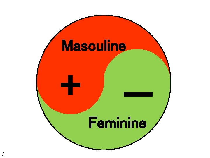 Masculine + - Feminine 3 