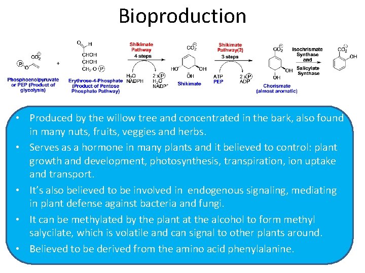 Bioproduction • Produced by the willow tree and concentrated in the bark, also found