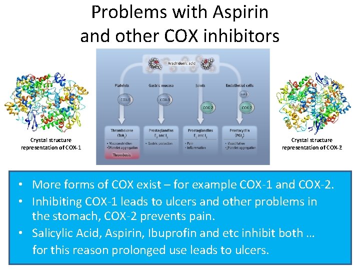 Problems with Aspirin and other COX inhibitors Crystal structure representation of COX-1 Crystal structure
