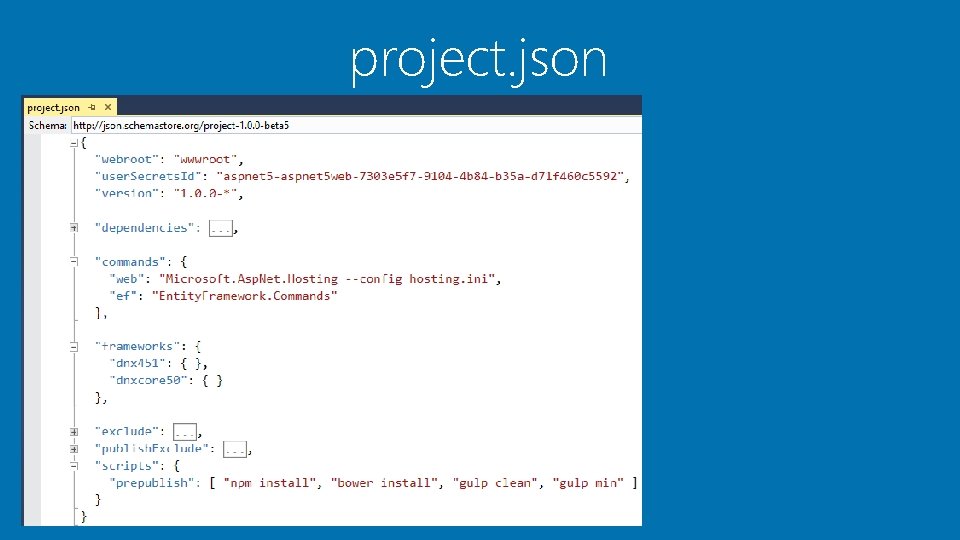 project. json project. json