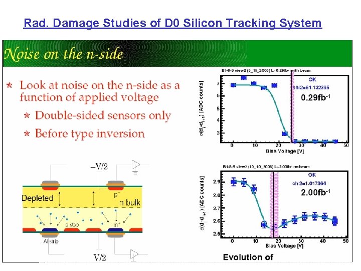 Rad. Damage Studies of D 0 Silicon Tracking System 