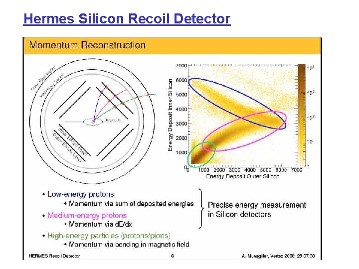 Hermes Silicon Recoil Detector 