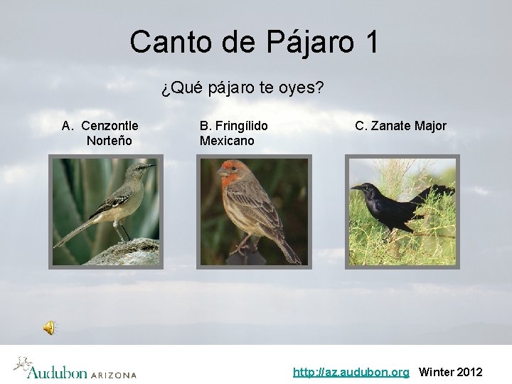 Canto de Pájaro 1 ¿Qué pájaro te oyes? A. Cenzontle Norteño B. Fringílido Mexicano