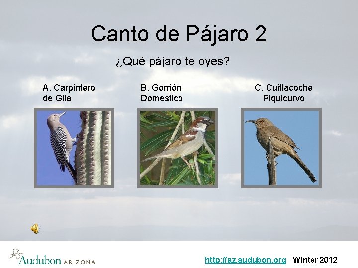 Canto de Pájaro 2 ¿Qué pájaro te oyes? A. Carpintero de Gila B. Gorrión