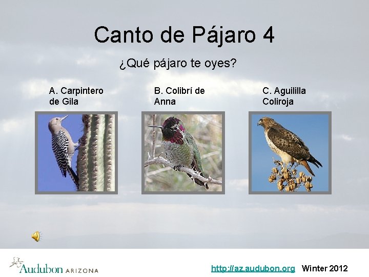 Canto de Pájaro 4 ¿Qué pájaro te oyes? A. Carpintero de Gila B. Colibrí