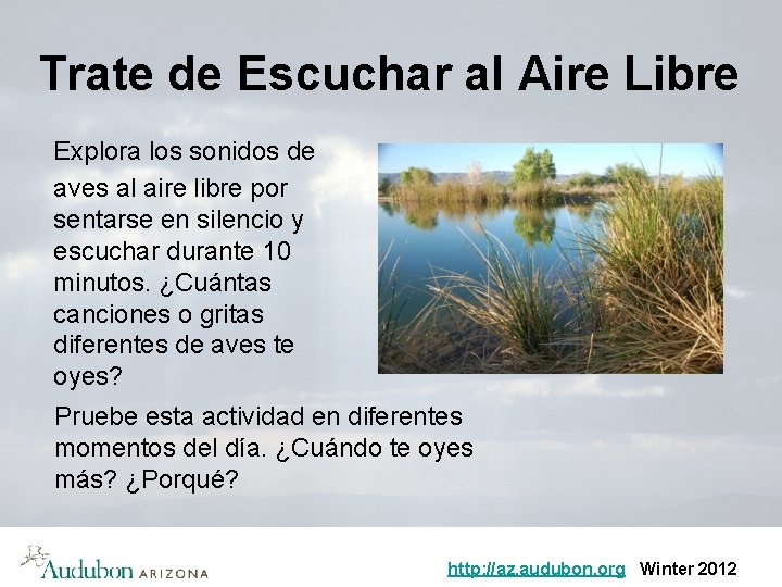 Trate de Escuchar al Aire Libre Explora los sonidos de aves al aire libre