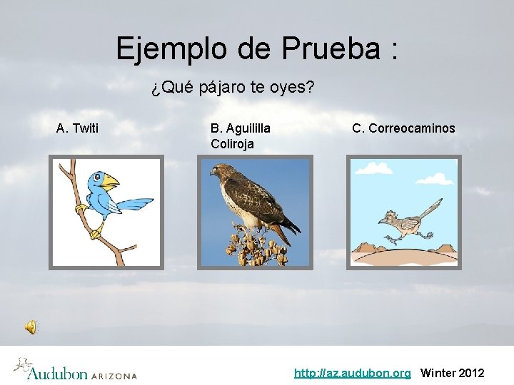 Ejemplo de Prueba : ¿Qué pájaro te oyes? A. Twiti B. Aguililla Coliroja C.