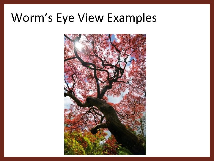 Worm’s Eye View Examples 