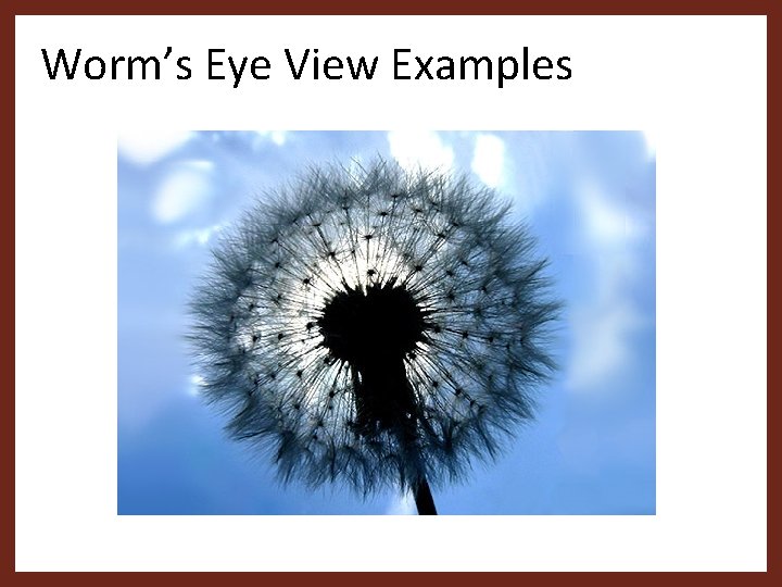 Worm’s Eye View Examples 