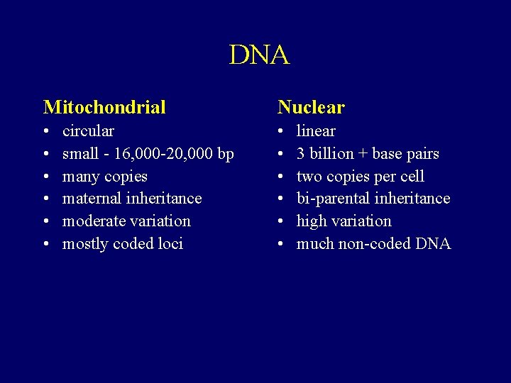 DNA Mitochondrial Nuclear • • • circular small - 16, 000 -20, 000 bp