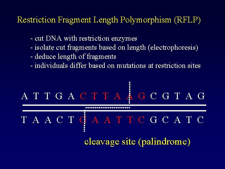 Restriction Fragment Length Polymorphism (RFLP) - cut DNA with restriction enzymes - isolate cut
