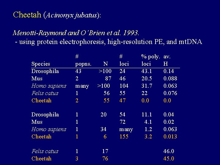 Cheetah (Acinonyx jubatus): Menotti-Raymond and O’Brien et al. 1993. - using protein electrophoresis, high-resolution