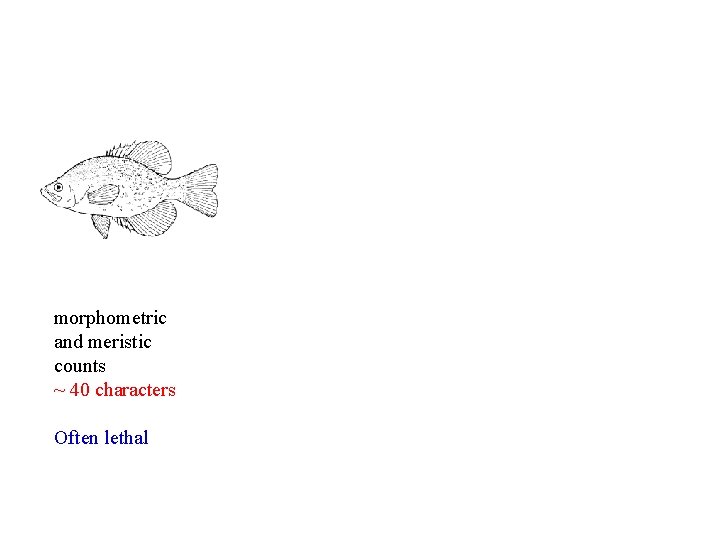 morphometric and meristic counts ~ 40 characters Often lethal 