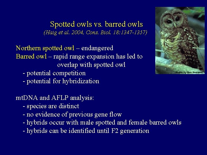 Spotted owls vs. barred owls (Haig et al. 2004, Cons. Biol. 18: 1347 -1357)