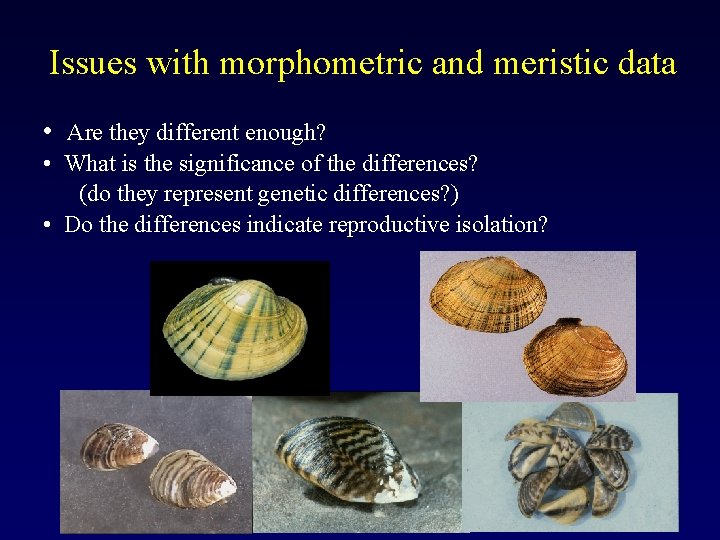 Issues with morphometric and meristic data • Are they different enough? • What is