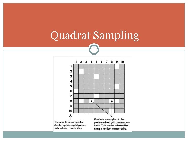 Quadrat Sampling 