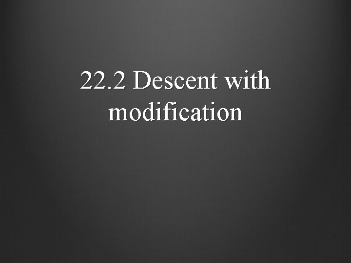 22. 2 Descent with modification 