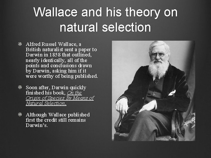 Wallace and his theory on natural selection Alfred Russel Wallace, a British naturalist sent