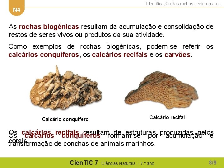Identificação das rochas sedimentares N 4 As rochas biogénicas resultam da acumulação e consolidação Identificação das rochas sedimentares N 4 As rochas biogénicas resultam da acumulação e consolidação