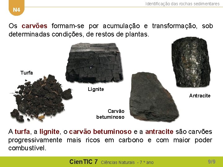 Identificação das rochas sedimentares N 4 Os carvões formam-se por acumulação e transformação, sob Identificação das rochas sedimentares N 4 Os carvões formam-se por acumulação e transformação, sob