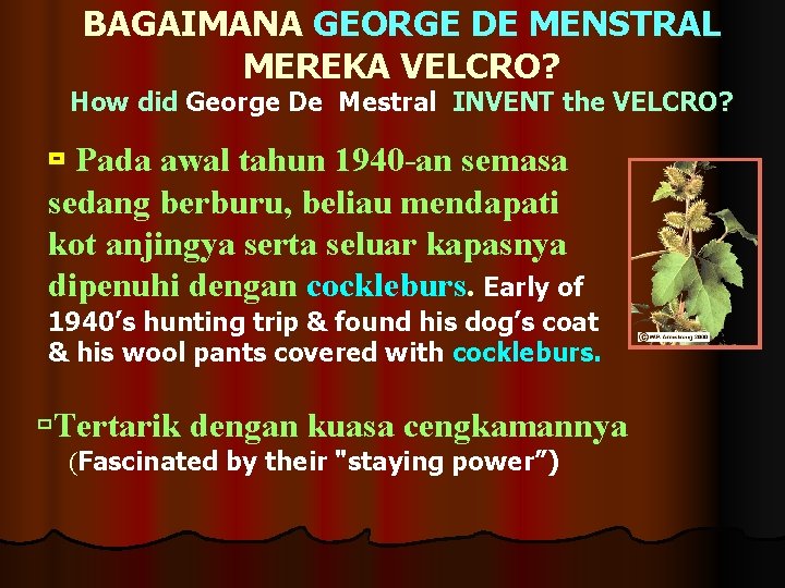 BAGAIMANA GEORGE DE MENSTRAL MEREKA VELCRO? How did George De Mestral INVENT the VELCRO?
