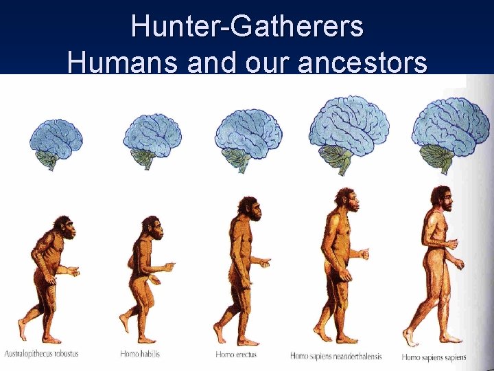 Hunter-Gatherers Humans and our ancestors 