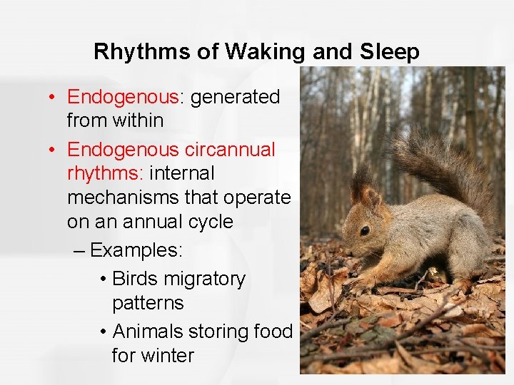 Rhythms of Waking and Sleep • Endogenous: generated from within • Endogenous circannual rhythms: