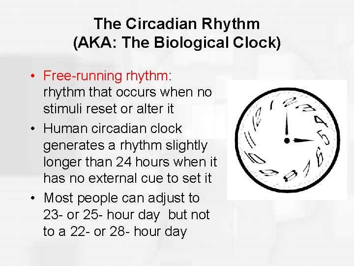 The Circadian Rhythm (AKA: The Biological Clock) • Free-running rhythm: rhythm that occurs when