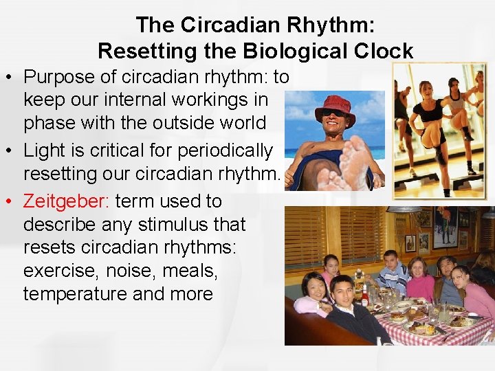 The Circadian Rhythm: Resetting the Biological Clock • Purpose of circadian rhythm: to keep