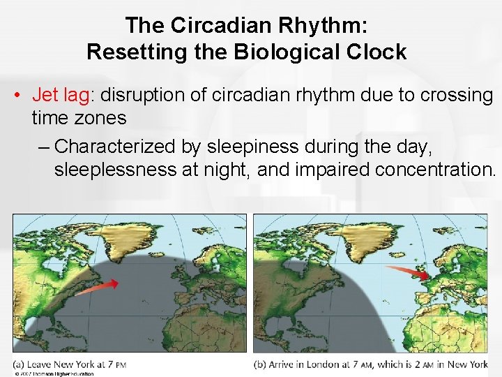 The Circadian Rhythm: Resetting the Biological Clock • Jet lag: disruption of circadian rhythm