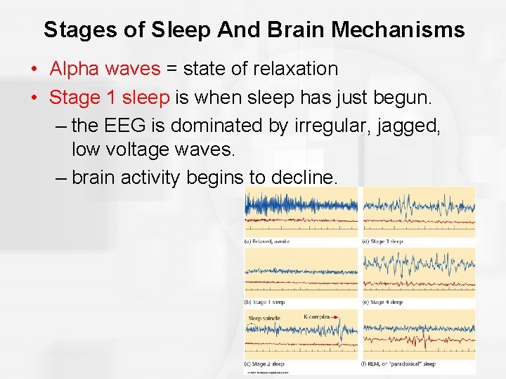 Stages of Sleep And Brain Mechanisms • Alpha waves = state of relaxation •