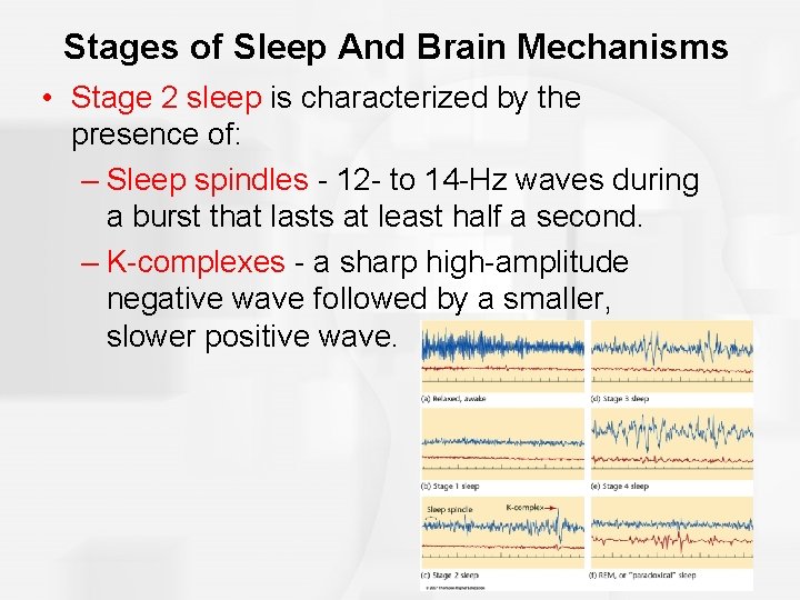 Stages of Sleep And Brain Mechanisms • Stage 2 sleep is characterized by the