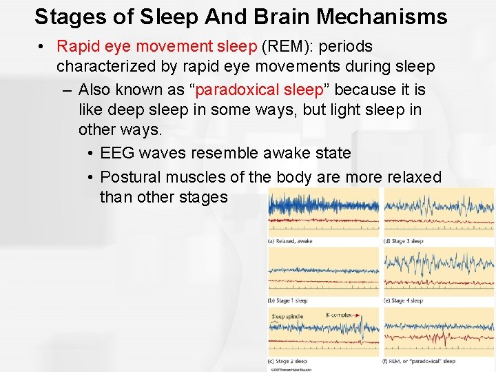 Stages of Sleep And Brain Mechanisms • Rapid eye movement sleep (REM): periods characterized