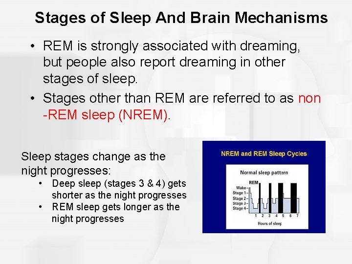 Stages of Sleep And Brain Mechanisms • REM is strongly associated with dreaming, but