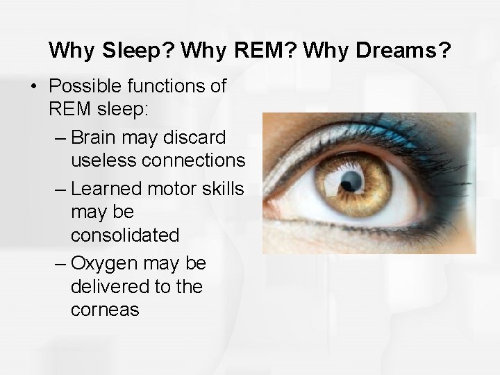 Why Sleep? Why REM? Why Dreams? • Possible functions of REM sleep: – Brain