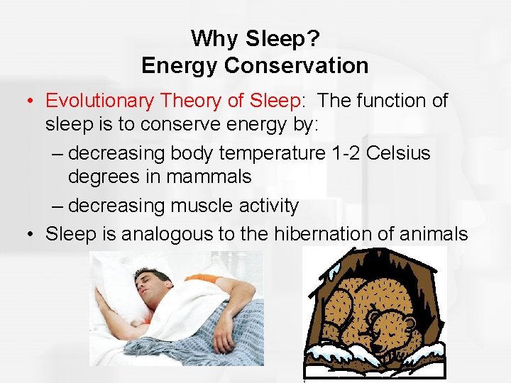 Why Sleep? Energy Conservation • Evolutionary Theory of Sleep: The function of sleep is