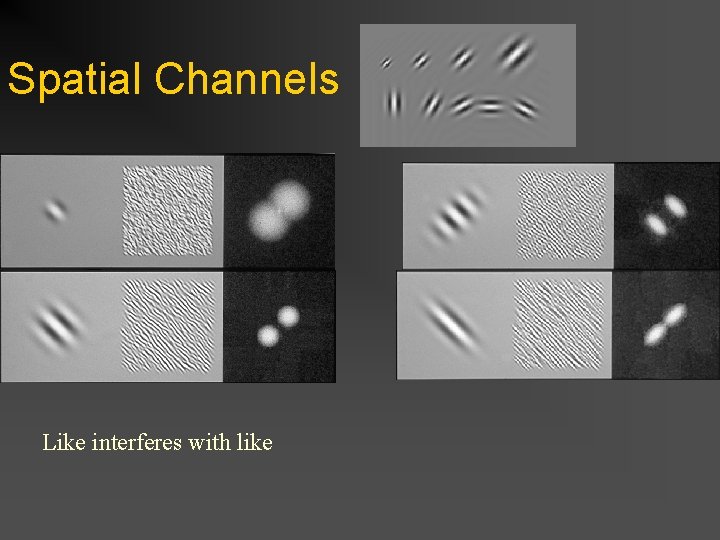 Spatial Channels Like interferes with like 