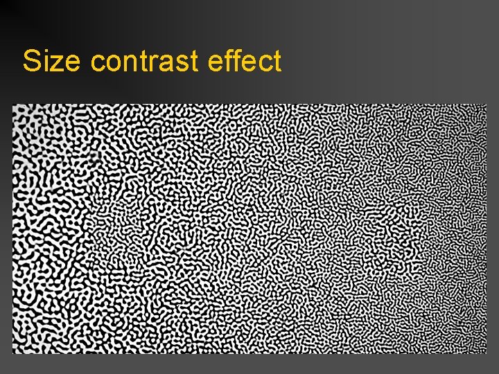 Size contrast effect 