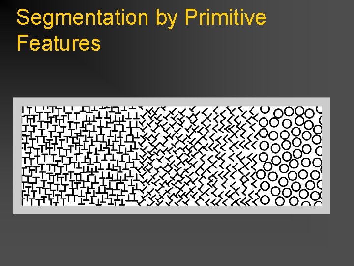 Segmentation by Primitive Features 
