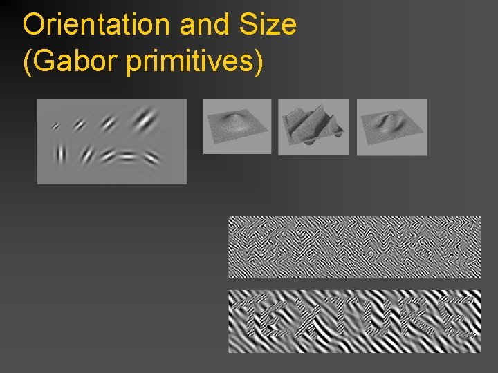 Orientation and Size (Gabor primitives) 