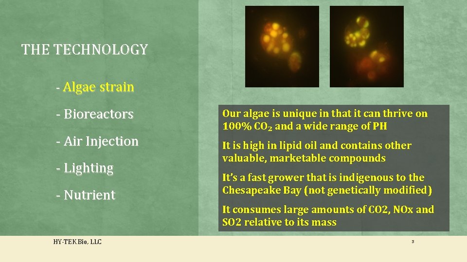 THE TECHNOLOGY - Algae strain - Bioreactors - Air Injection - Lighting - Nutrient